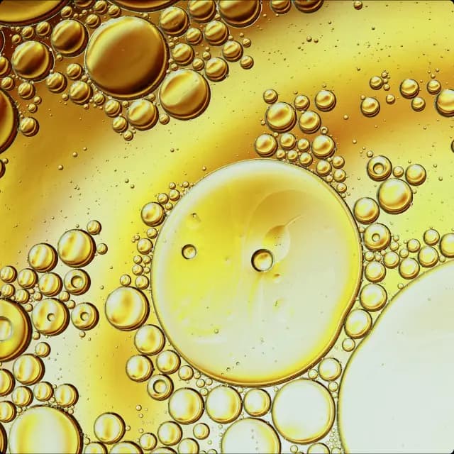 Fats & Oils