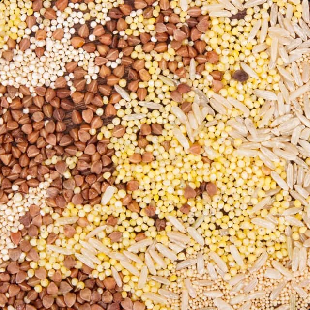 Grains
